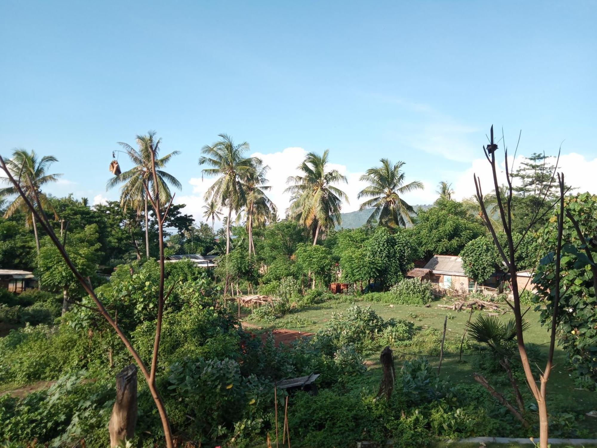 Ramdan Homestay Kuta  Rom bilde